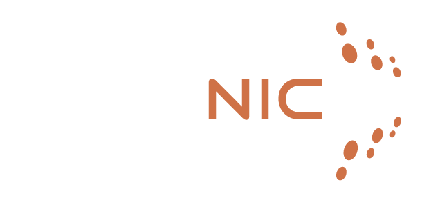 AFRINIC logo